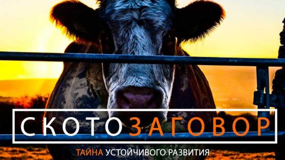 «СКОТОЗАГОВОР»: ФИЛЬМ О РАЗРУШИТЕЛЬНОМ ВЛИЯНИИ ЖИВОТНОВОДСТВА НА ЭКОЛОГИЮ ПЛАНЕТЫ